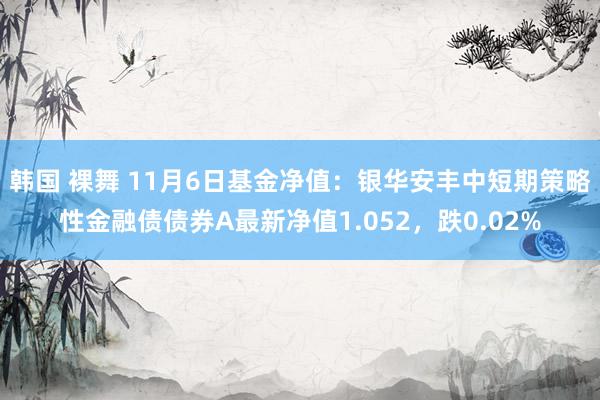 韩国 裸舞 11月6日基金净值：银华安丰中短期策略性金融债债券A最新净值1.052，跌0.02%