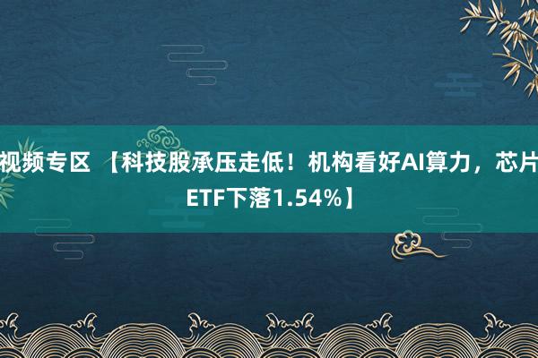 视频专区 【科技股承压走低！机构看好AI算力，芯片ETF下落1.54%】