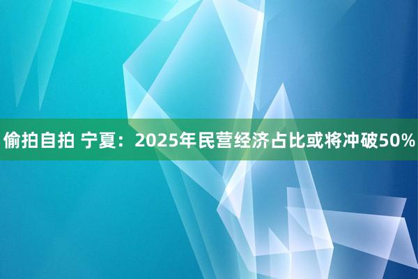 偷拍自拍 宁夏：2025年民营经济占比或将冲破50%