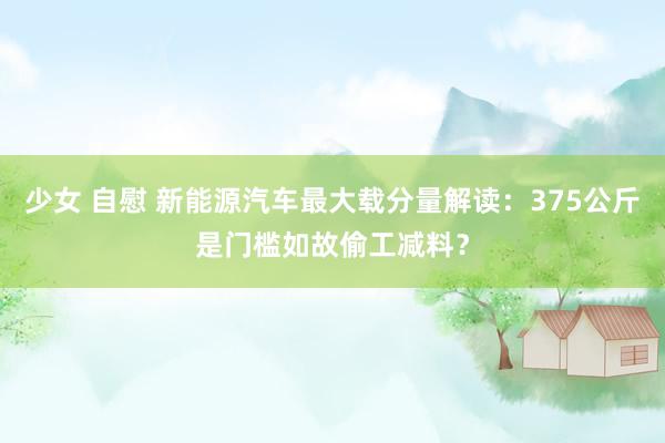 少女 自慰 新能源汽车最大载分量解读：375公斤是门槛如故偷工减料？